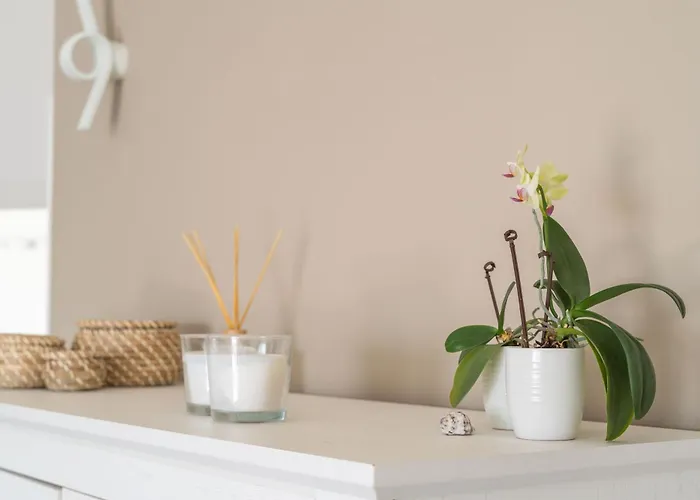 Marlo With Views On The Adriatic! 公寓 杜布罗夫尼克